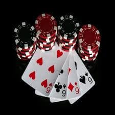 vip 345 bet